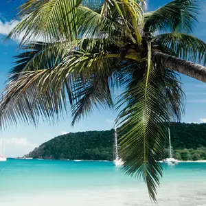 חופשה בקריביים בקלאב מד