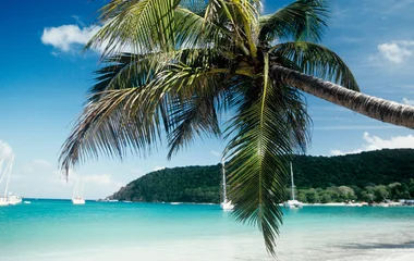 The Caribbean
