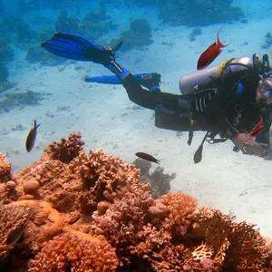 Scuba diving holidays with Club Med
