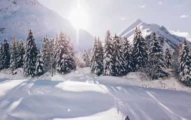 Skispass im Gebiet Paradiski