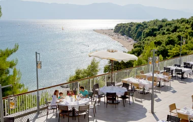 A man and a woman walking on a beach with palm trees