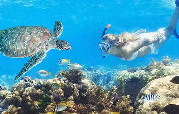 Woman snorkelling with a sea turtle in a coral reef