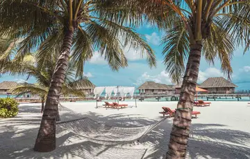 Hammock and palm tree on an island