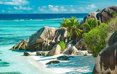 טיול שנורקלינג בסיישל