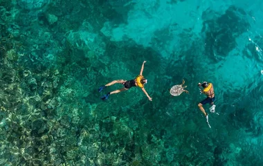 Zwei Personen schnorcheln im Meer mit einer Wasserschildkröte