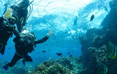Scuba diving in Martinique