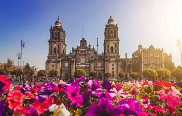 flowers in Mexico city