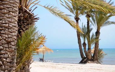 Beach at Club Med Djerba
