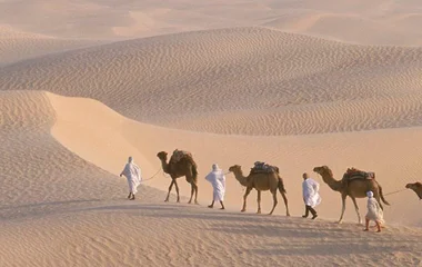 desert camel rides