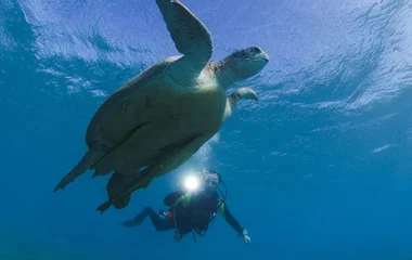 actividades-en-islas-turcas-y-caicos