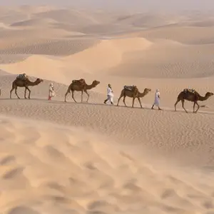 Ferien in Tunesien
