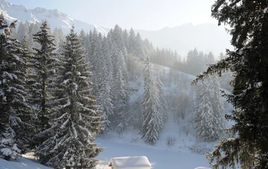 Schneehoehen