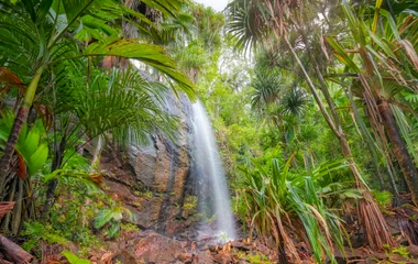 Waterfall in the jungle in the Seychelles