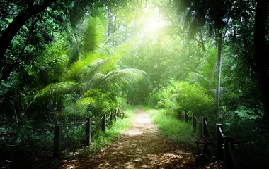 Vallee de Mai