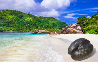 Exploring the beautiful Seychelles beaches