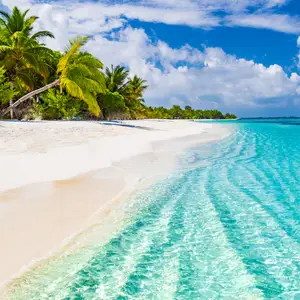 A Guide to Praslin Island