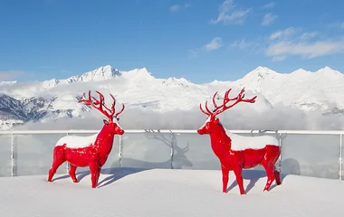 פעילויות ייחודיות לעונה