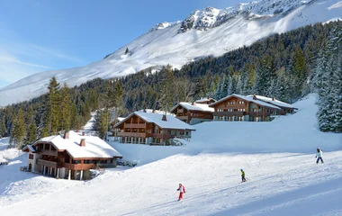 Ski Chalet