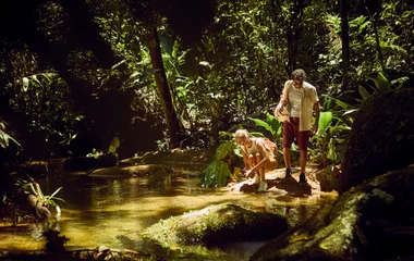 Січневий карнавал у Бразилії