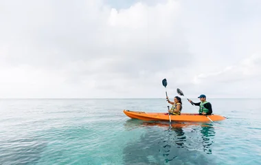 Тихоокеанські висоти, Японія