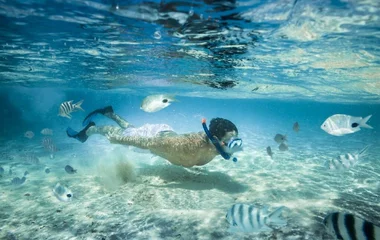 Snorkeling nel mare cristallino tra i pesci tropicali alle Maldive a Natale
