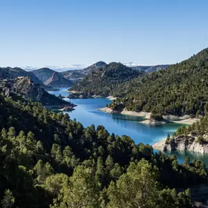 Things to do in Marbella