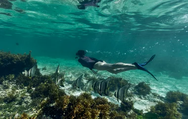 Abtauchen in das türkisfarbene Wasser