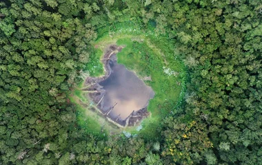 Vulkankrater auf Mauritius inmitten eines Regenwaldes