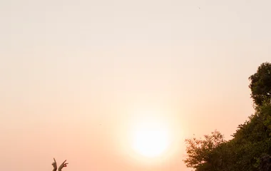 40 AÑOS DE EXPERIENCIA Y PROFESIONALIDAD