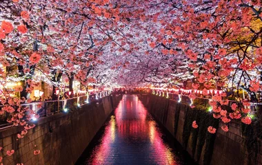 Popular countries for honeymooners