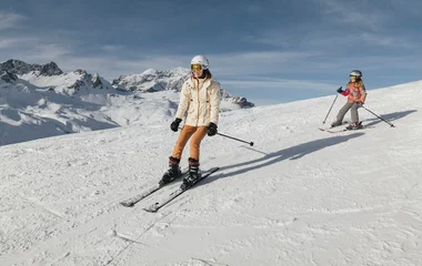 Swiss Alps