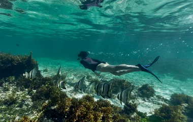 Autumn in the Seychelles