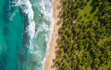 On the top of the world