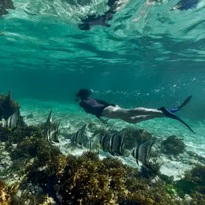 Snorkeling Holidays