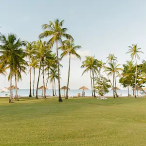 Holidays in Martinique