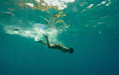 сноркелінг на Маврикії