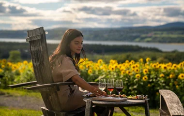 вино та їжа в Квебеку