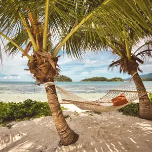 Пляж на Сейшельських островах