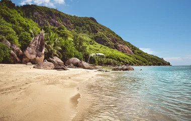Turtle swimming in the turquoise sea in the Seychelles