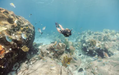 Meet the marine life