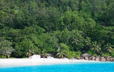 beach, island, family holiday, seychelles, club med