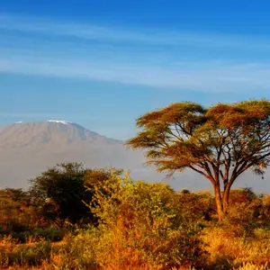 Que visiter au Kenya ?