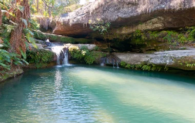 LES PARCS NATIONAUX DE MADAGASCAR