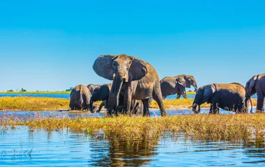 botswana