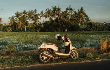 a scooter on the side of a road in bali