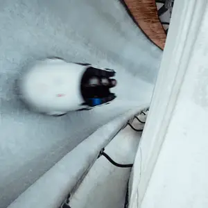 Bobsled na pista