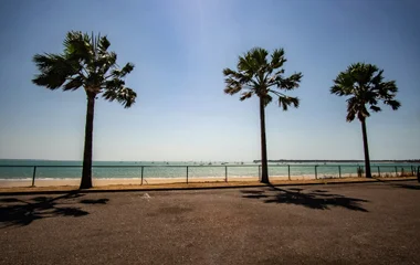 beach front and palm trees in Darwin, NT