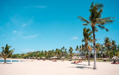 palm trees on beach in bali