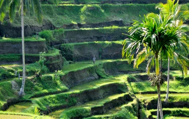 Bali en Indonésie