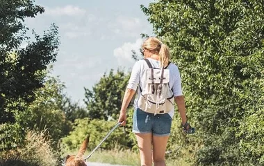 Q&A: Details about the dog package in Vittel Ermitage